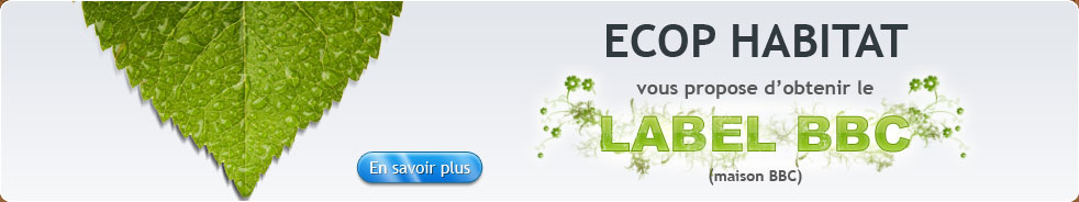 Conception de maison écologique Microloft